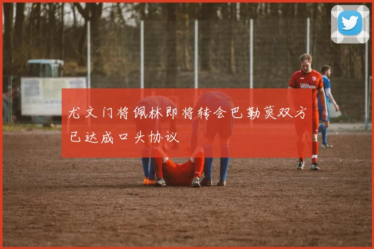 尤文门将佩林即将转会巴勒莫双方已达成口头协议