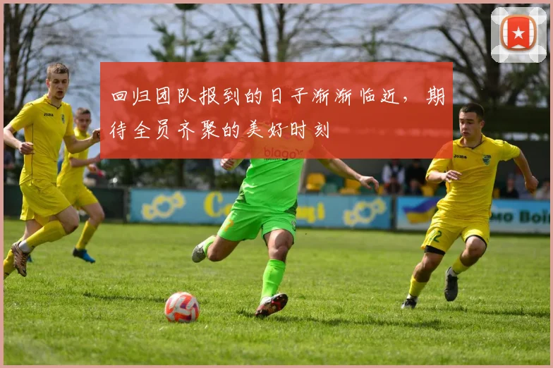 回归团队报到的日子渐渐临近，期待全员齐聚的美好时刻